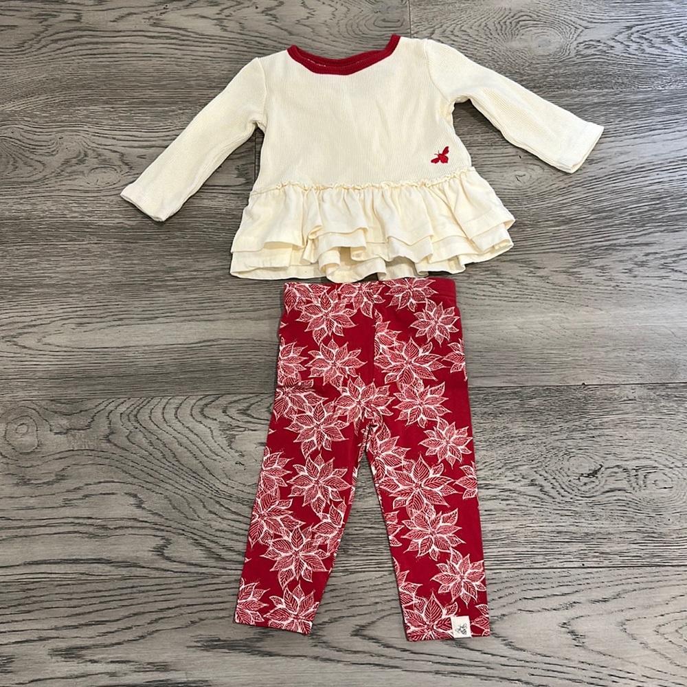 Burt’s Bee Outfit NWOT 6-9M